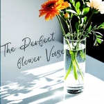 KRNDUMA 15pcs 센터피스용 꽃병 센터피스 4,6,7,5,8,10 작은 유리병 홈 데코 인치 높이 실린더 투명 장식 테이블 : 마일럭스