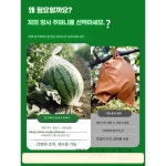 포도 봉투 제품 나일론 농업용 포장지 과수원 커버 100매 샤인머스켓 7. 15x37 (50개) 망사 : 와이피스