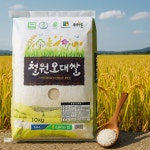 [밥맛전환] 동송농협 철원오대쌀 4kg, 1개 : 가마골보부