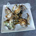 산지 직송 프리미엄 굴 삼베체 개체굴 신안 1004굴 2kg 3kg 5kg : 쉐프의마켓