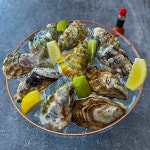 산지 직송 프리미엄 굴 삼베체 개체굴 신안 1004굴 2kg 3kg 5kg : 쉐프의마켓