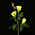 시월 LED 태양광 꽃정원등 옐로우 정원조명등 태양열조명 옥외전등 : 시월잡화