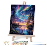 성인용 VIGEGU 오로라 페인트, 액자형 별이 빛나는 하늘 풍경 DIY 아크릴 유화, 벽 장식용 10x12인치 1-Paint by Number0304-2... 