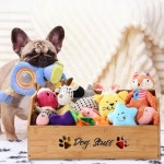 레이누오센 대형 반려견 통 바구니, 뼈 손잡이가 있는 20인치 물건 보관 바구니 개 목줄 씹기 정리 액세서리를 정리하고 보관할 수 대나무 용기... 