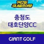 대호단양cc 충북골프패키지 : 자이언트골프 국내해외 예약