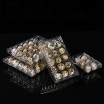 PET 투명 플라스틱 메추리알 트레이 일회용 두꺼운 18구 24구 충돌 방지 내충격성 슈퍼마켓 포장 상자 : 이지시스템01