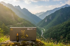 [부모님 선물 특가] 산삼수복 7년근 야생 산양산삼 추출액 20ml x 10병 진액 엑기스 원액 선물 : 메디포웰빙