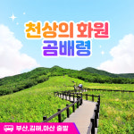[부산출발] 천상의 화원 곰배령 1박2일 국내여행 / 부산신세계여행사 : 부산 신세계여행사