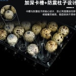 PET 투명 플라스틱 메추리알 트레이 일회용 두꺼운 18구 24구 충돌 방지 내충격성 슈퍼마켓 포장 상자 : 이지시스템01