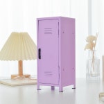 락커장 미니 락커룸 철제 캐비넷 관물대 사물함 소형 보관함 : seventeen하우스