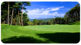 웰리힐리cc 1박2일 회원제+대중제 횡성골프장 3인부터 패키지 예약 : 자이언트골프 국내해외예약