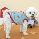 베어 코듀로이 베스트 강아지 겨울 조끼 (코랄벨로아 안감) : ROICO
