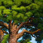 남원 지리산 천년송 : 조 경 갤러리