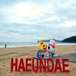 부산버스투어 핫플 문화관광 해동용궁사 동백섬 광안리 해운대 영도 태종대 오륙도 남포동 : 돌고래여행사-돌핀스토어