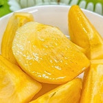 씨없는 초고당도 단감 태추 부유 창원 배감 2.5kg 5kg 10kg : 청년농부와 아빠농부