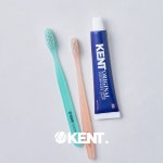 켄트칫솔 콤팩트 초극세모 6개입 : 켄트오랄스