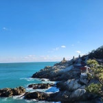 부산버스투어 핫플 문화관광 해동용궁사 동백섬 광안리 해운대 영도 태종대 오륙도 남포동 : 돌고래여행사-돌핀스토어