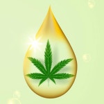 대마씨유 식물성대마종자유 유기농 냉압착 : 9988상점