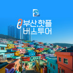 부산버스투어 핫플 문화관광 해동용궁사 동백섬 광안리 해운대 영도 태종대 오륙도 남포동 : 돌고래여행사-돌핀스토어