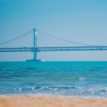 부산버스투어 핫플 문화관광 해동용궁사 동백섬 광안리 해운대 영도 태종대 오륙도 남포동 : 돌고래여행사-돌핀스토어