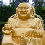 부산버스투어 핫플 문화관광 해동용궁사 동백섬 광안리 해운대 영도 태종대 오륙도 남포동 : 돌고래여행사-돌핀스토어