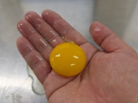 [에그만] 난각번호 1번 바나듐 구운란 국산 생란 유정란 무항생제 훈제란 : 에그만 eggman