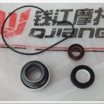 오일 도장 워터 펌프 리틀 황롱 BJ250-15 15A 300 BJ300GS -3 : 에이치케이오토모터스