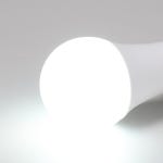 비츠온 LED 전구 램프 벌브 E26 14W, 주광색 : 라이팅플러스