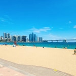 부산버스투어 핫플 문화관광 해동용궁사 동백섬 광안리 해운대 영도 태종대 오륙도 남포동 : 돌고래여행사-돌핀스토어