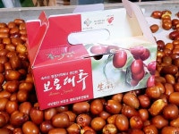 신동우 생대추6호24mm/2kg : 보은대추고을농장