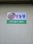 고지대이며 해풍을 머금어 당도 높은 배사랑농원 배 5kg : 배사랑농원