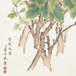 민화 도안 국화 밑그림 한국화 그리기 재료 수묵화 교실 스캐치 : 니퍼일구영