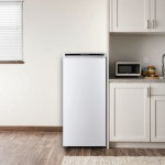 LG 냉동고 서랍형 소형 A202W 가정용 미니 냉동고 화이트 200L : 엘제이비가전
