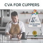 CVA for cuppers course - CVA 과정 SCA 코스 국제바리스타 자격증 : 브니엘커피로스터스