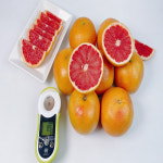 순이네식탁 상큼한 자몽 선물과일 신선한 비타민c 톡톡 터지는 식감 중과 : 순이네식탁