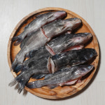 2026 햇 손질 빠가사리 900g 냉동 내장제거 민물 매운탕 퉁가리 퉁사리 동자개 : eee