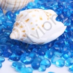 로얄오션 어항 유리자갈 250g 수족관꾸미기 장식돌 : 로얄오션