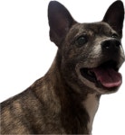 PT 이용권 : 베르데 피트니스