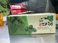 국내산 토종 다래 미니키위 다래순 효소용다래 건다래 : 센즈마켓