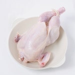 치계전 주문 직후 생산 더 신선한 국내산 냉장 생닭(통닭) 1마리 1kg 내외 : 식신강림