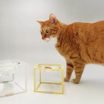 스튜디오얼라이브 츄릅식기 : STUDIOALIVE