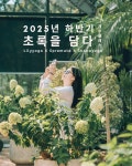 2025년 하반기 초록을 담다(11/22 ~ 23) : 릴리요가