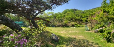 진주 다온치유농장 팜스테이 숙박 체험농장 교육농장 단감 밤 참가죽순 텃밭 : 다온치유농장