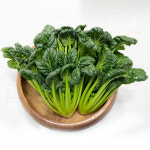 야채이야기 싱싱한 그린 비타민 채소 특수 야채 100g 다채 : 야채이야기