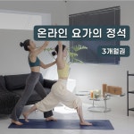루트인 요가 3개월 수강권 초보 새벽 임산부 저녁 아침 주말 줌 홈트 갱년기 온라인요가 : 루트인요가