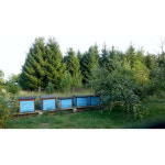 네츄럴푸드 천연 생 꿀 세트 4kg 흑꿀 유럽 : 오택상점