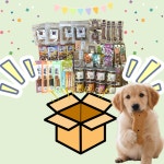 도그플랜 강아지 랜덤 간식 박스 : 도그플랜