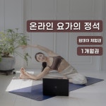 루트인 요가 1개월 수강권 초보 새벽 임산부 온라인 산전 산후 저녁 아침 주말 줌 홈트 : 루트인요가