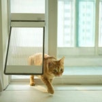 타비오 높이조절 베란다 펫도어 냉방비절감 냄새차단 : 주식회사 타비오