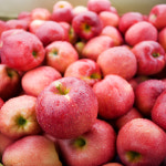 경북 영천 무주 고당도 부사 홍로 꿀사과 가정용 : 산해직송